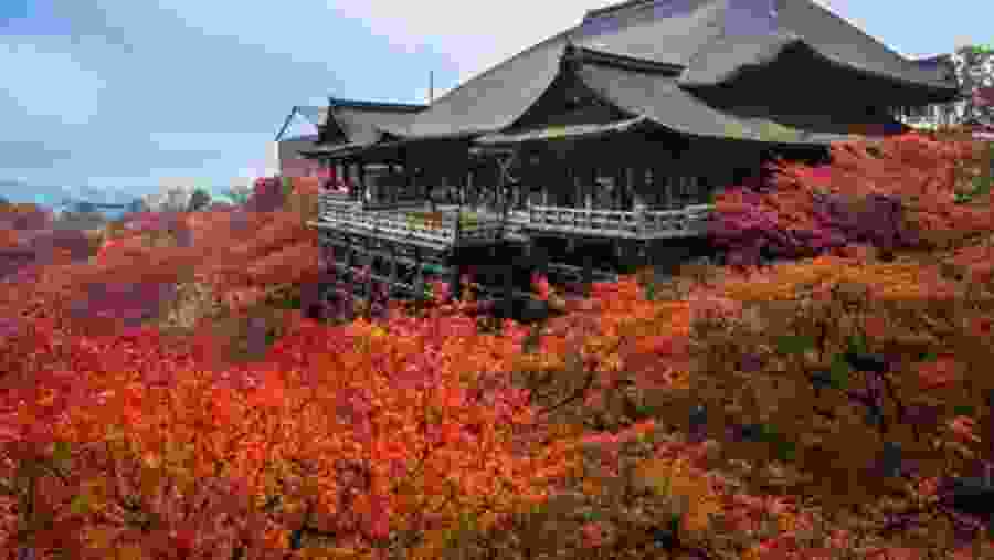  Kiyomizu Dera