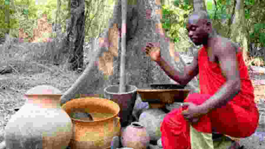 Immerse yourself in the culture Africa