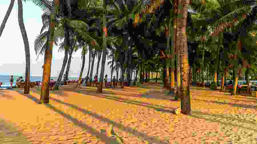 Visit Cua Dai Beach