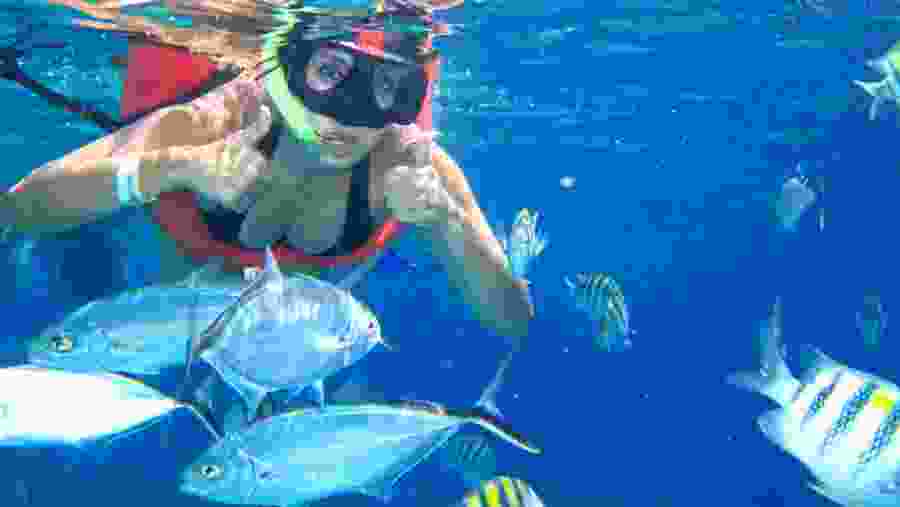 Snorkeling Experience
