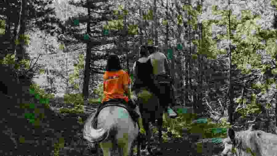 Horse riding in Albania