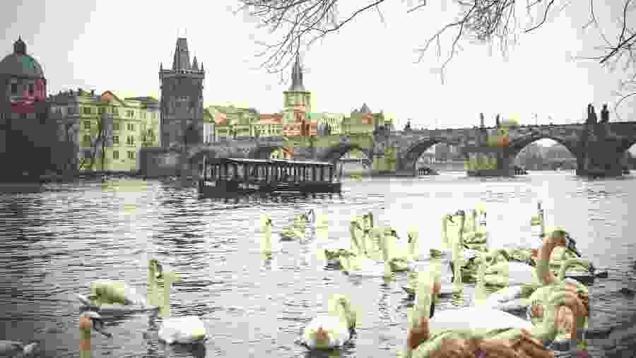 Charles Bridge, Prague