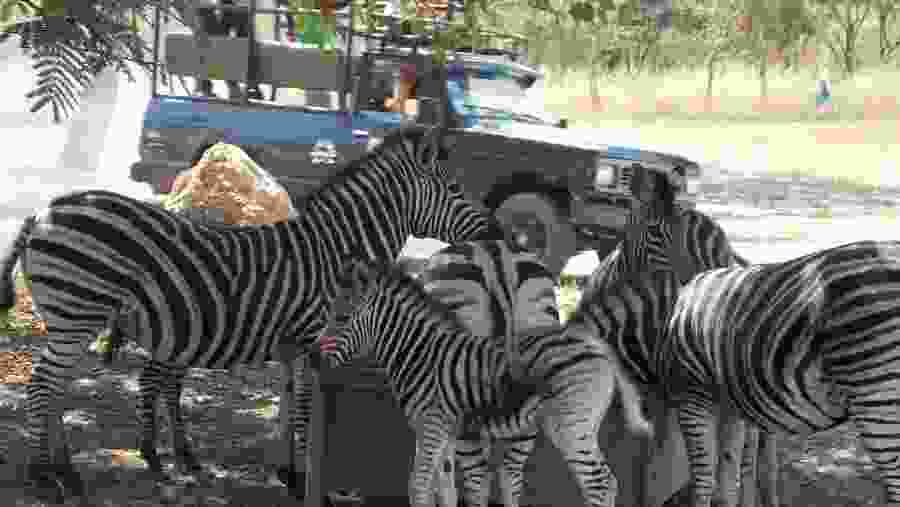 Fathala Safari Park