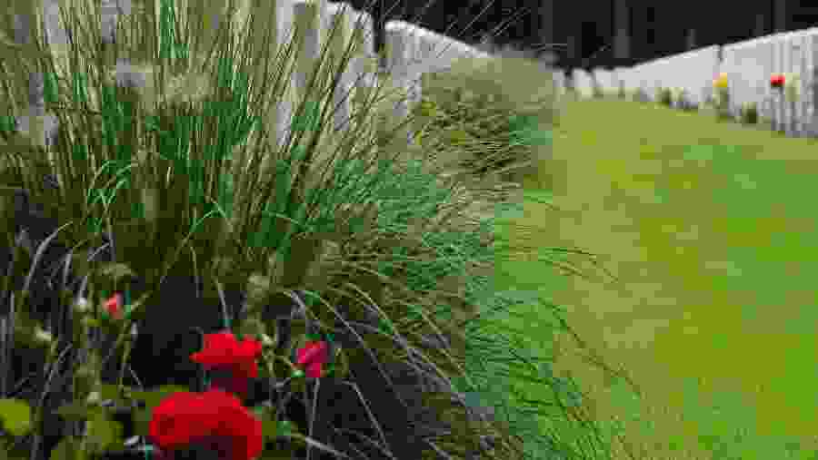 Visit a War Cemetery at Oosterbeek