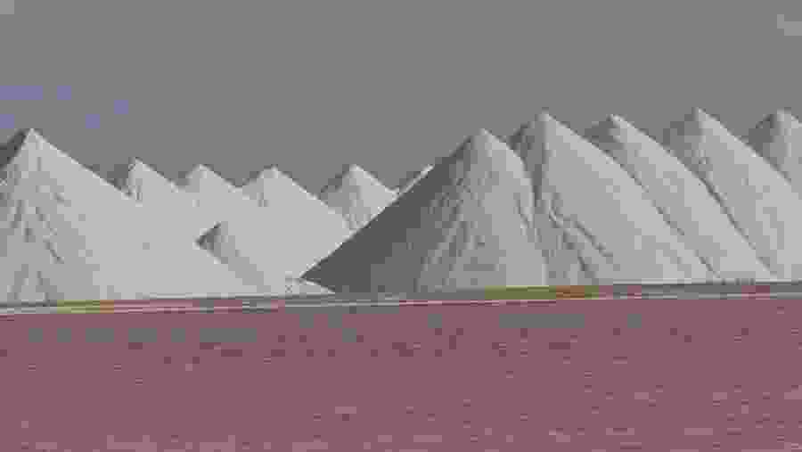 Sea Salt