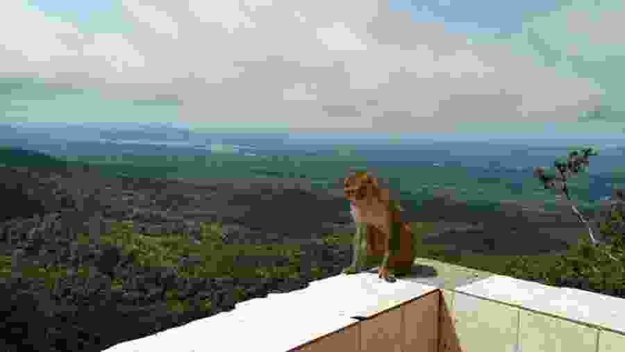 View from Mount Popa