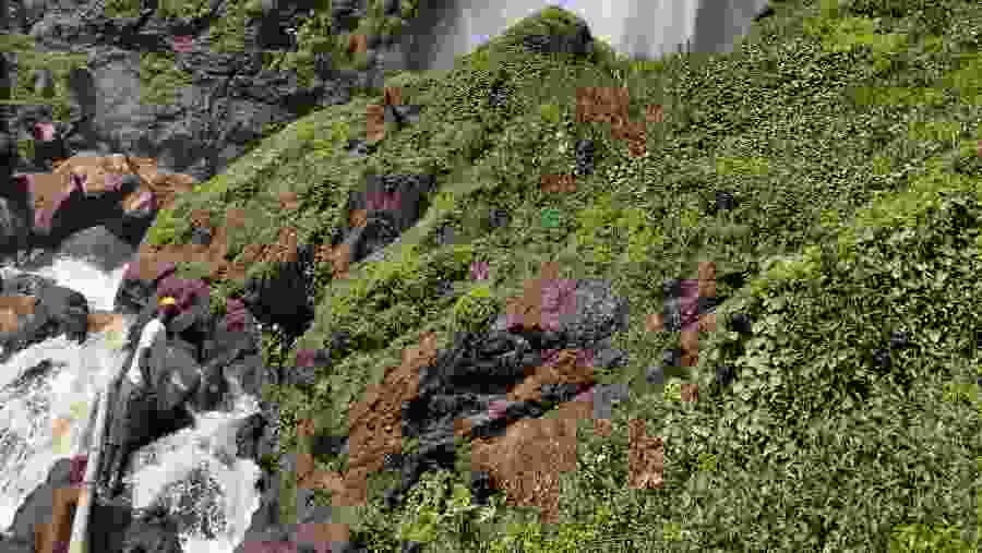 Half day Sisiyi falls tour