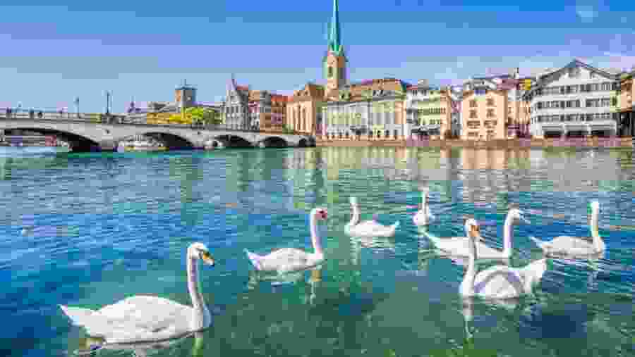 Lake Zurich