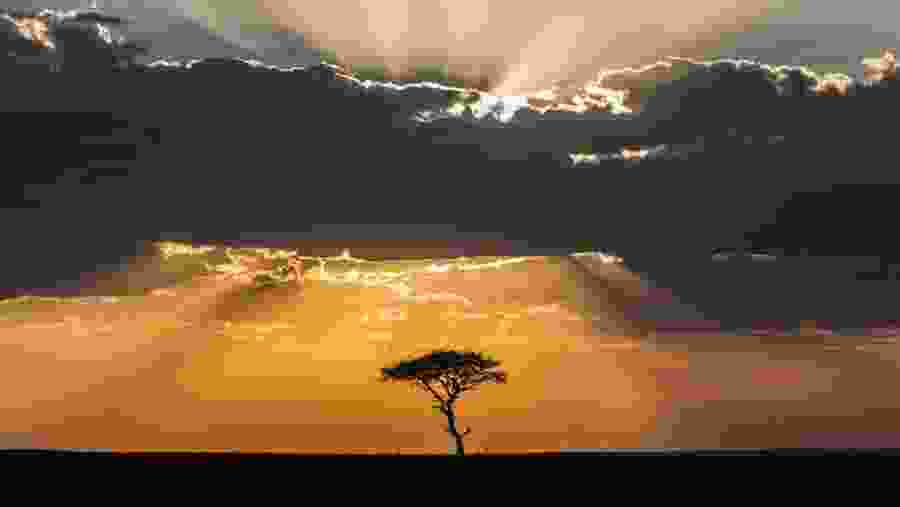 Sunset View, Masai Mara