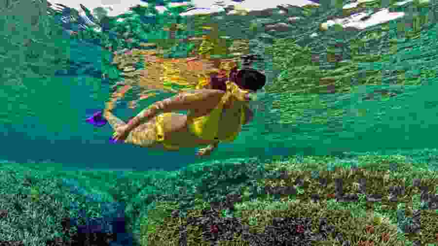 Snorkeling in Pigeon Islands