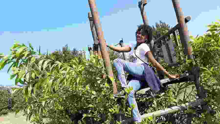 Lekki Conservation Center in Lagos, Nigeria