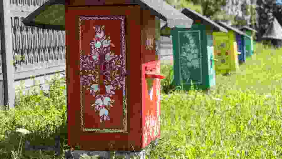 Zalipie Village Tour