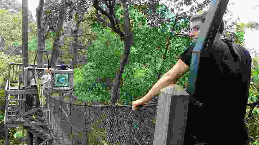 Cross the Canopy Bridge in Bangkirai Hill