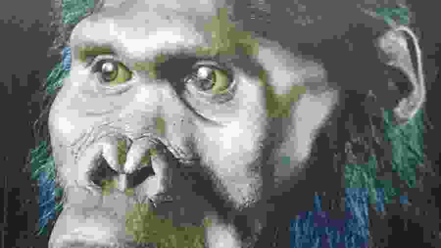 Maropeng Origin Centre,