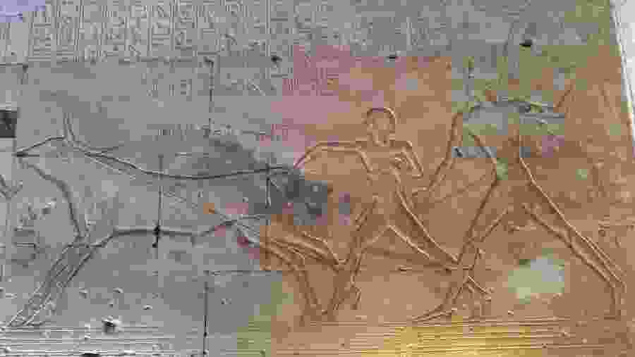 Abydos Temple In Egypt