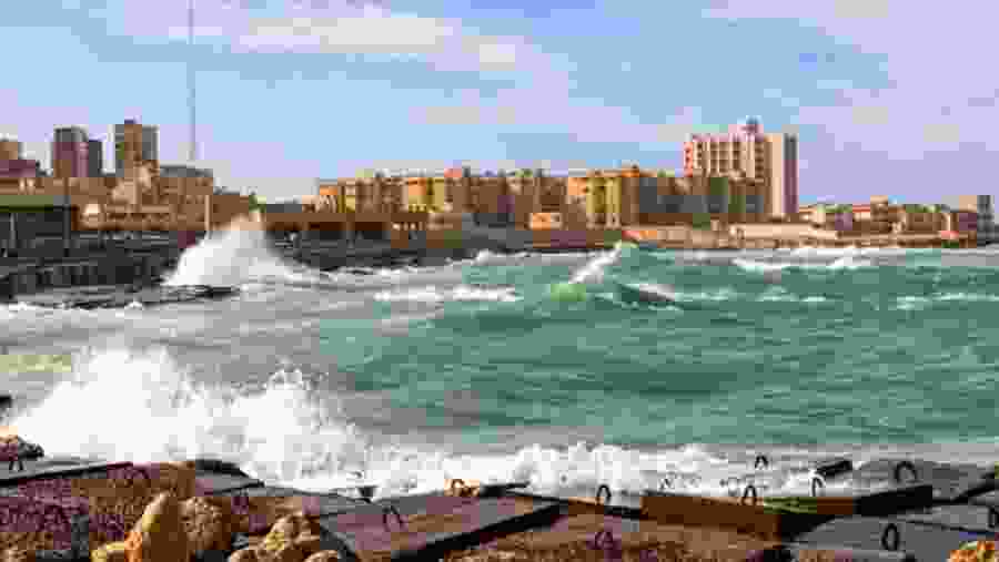 Alexandria