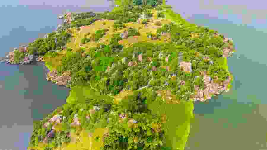 Scenic Adventure at Saanane Island