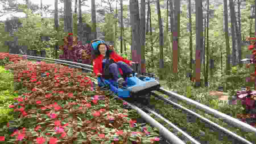 Alpine Coaster ride