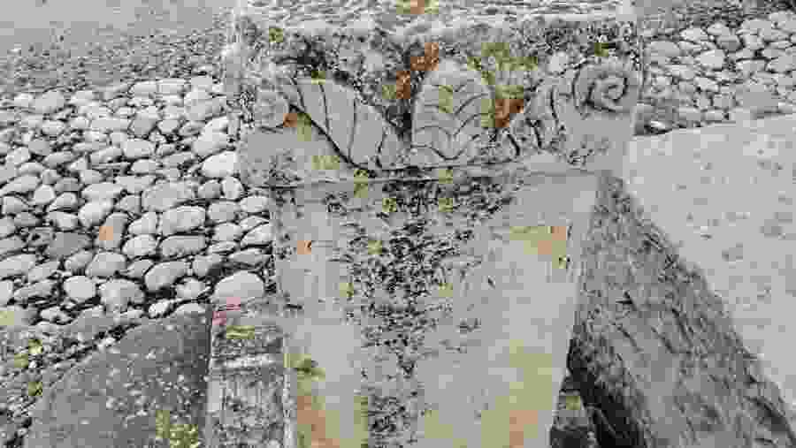 Roman cunic language