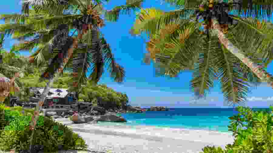 Zanzibar Holiday Tour