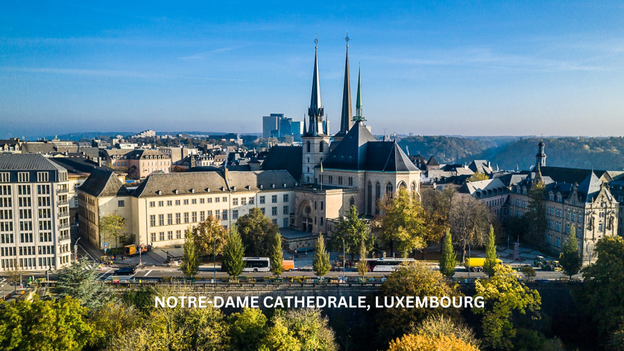 Cathédrale Notre-Dame