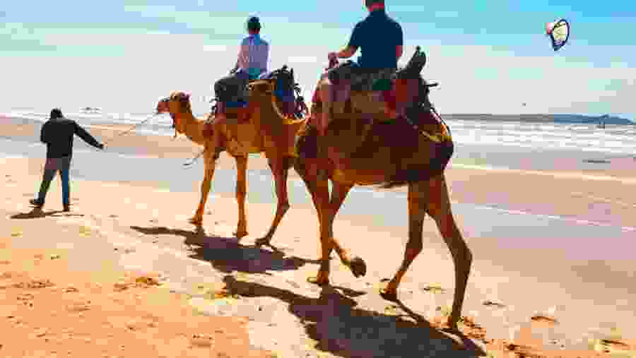 Camel ride on the Essaouira beach