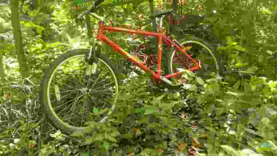 Bike Day Trip In Moshi- Kilimanjaro