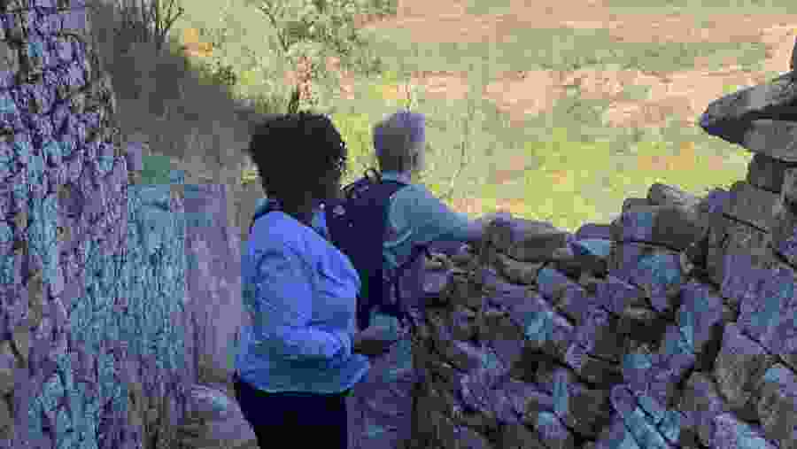 Stroll around the Ruins of the Zimbabwe