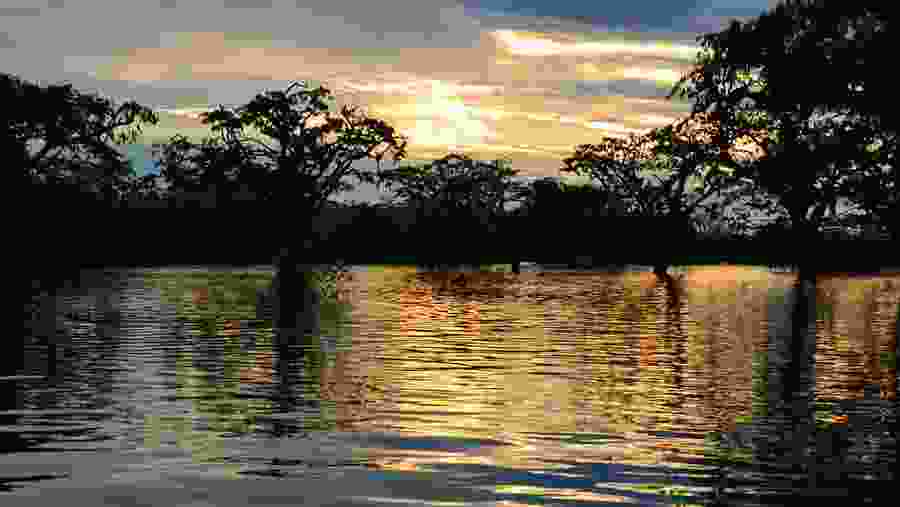 Laguna Cuyabeno