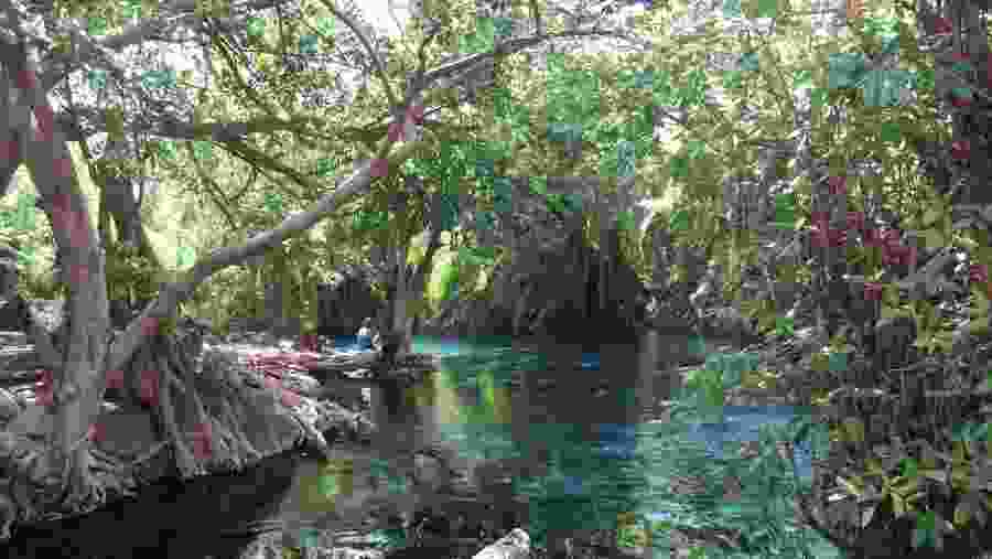 Kikuletwa Hot Springs, Tanzania