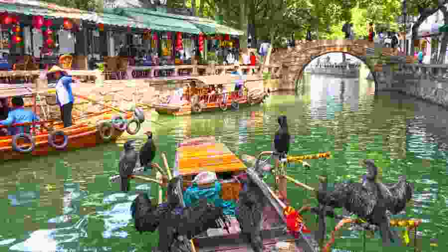 Tongli Water Town