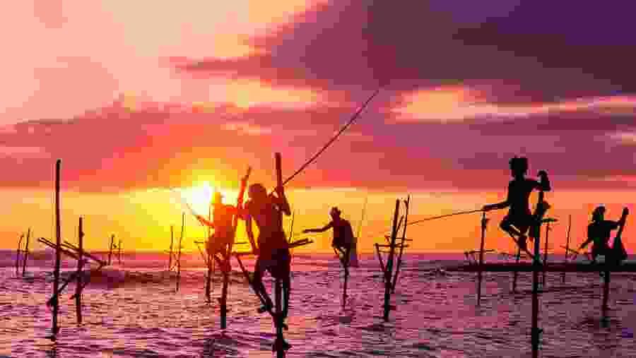 Stilt Fishermen