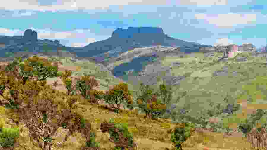 Mount Elgon Trekking