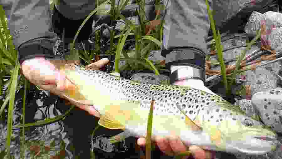 Arctic River Fishing