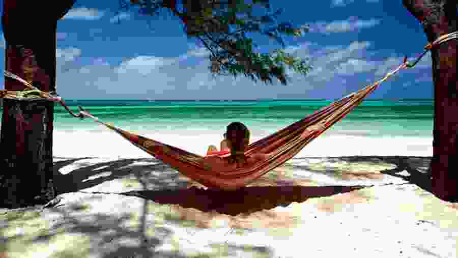 Take In The Magnificent View