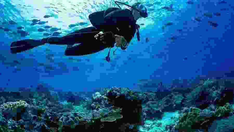 Scuba Diving in Negombo