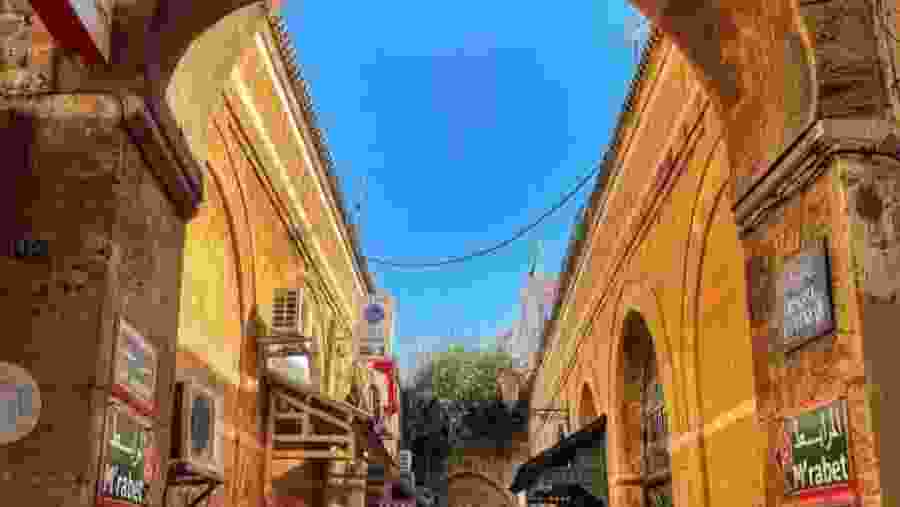 Medina Walking Tour