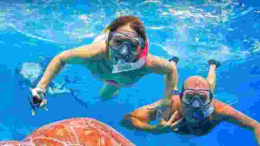 Snorkeling Experience