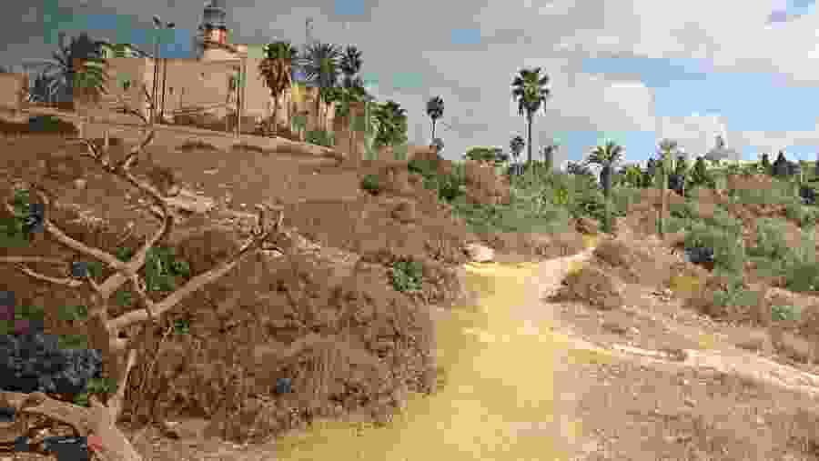 Stella Maris Monastery