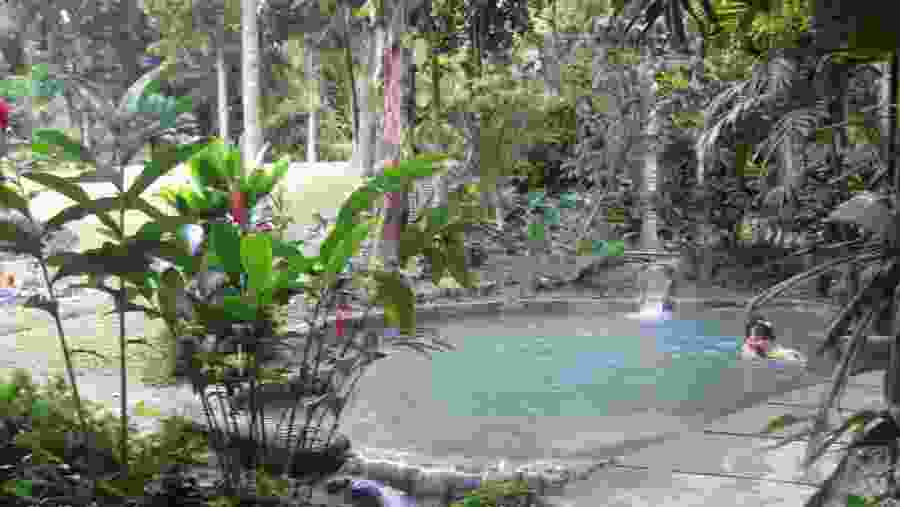 Cartagena Botanical Garden Guillermo Piñeres