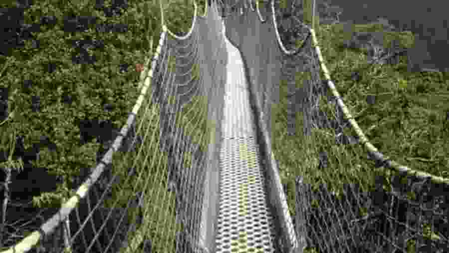 Canopy walk way