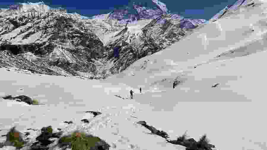 Trail along the trek