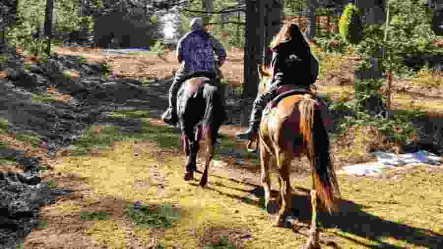 Horse riding in Albania