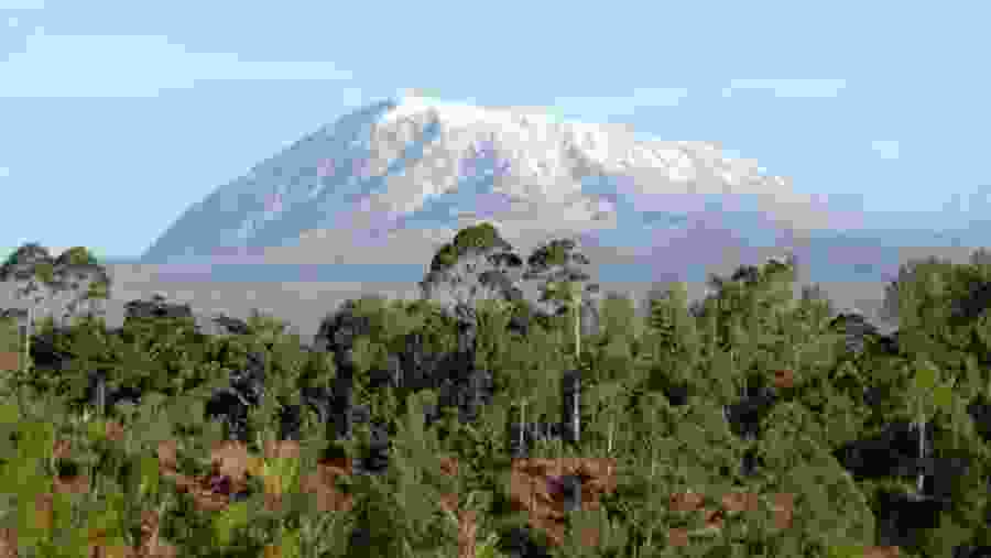Mt Kilimanjaro