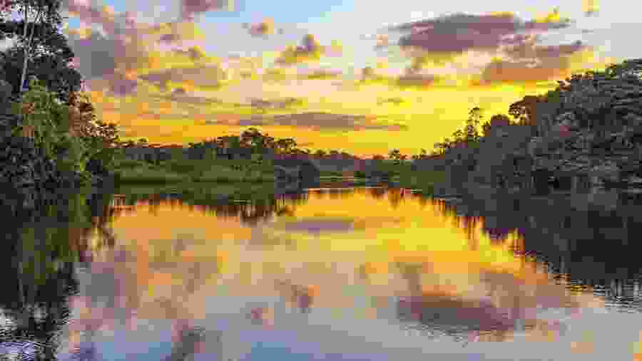 Parque Nacional Yasuní