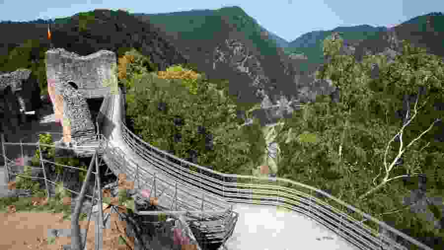 Transf?g?r??an or DN7C