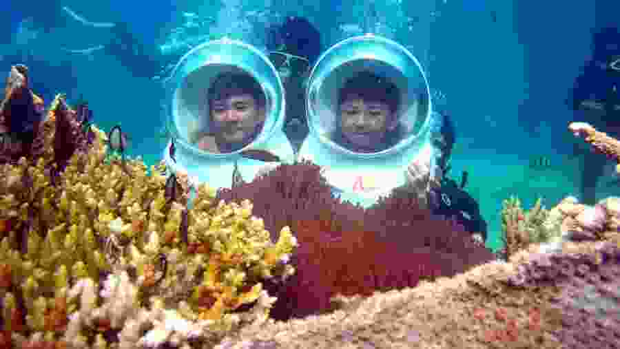 Snorkel around the coral reef