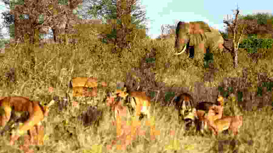 National Park