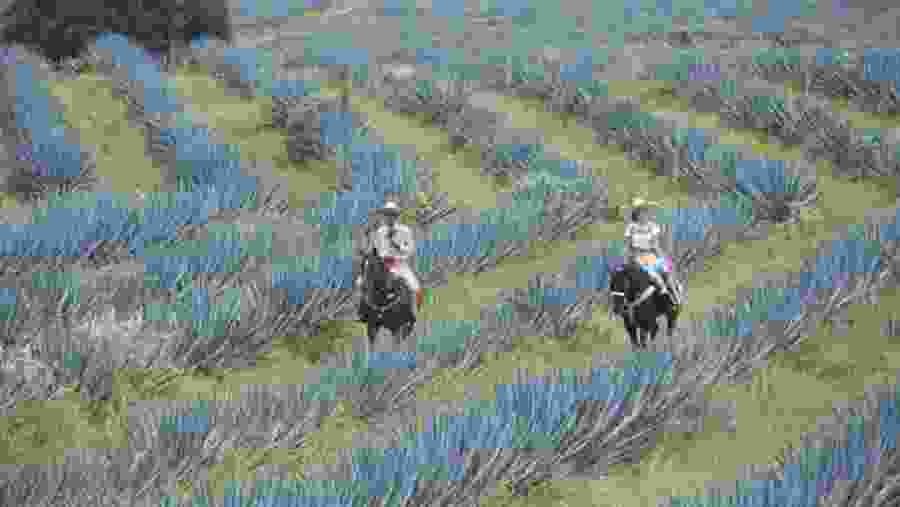 Locals usually move around on horseback.