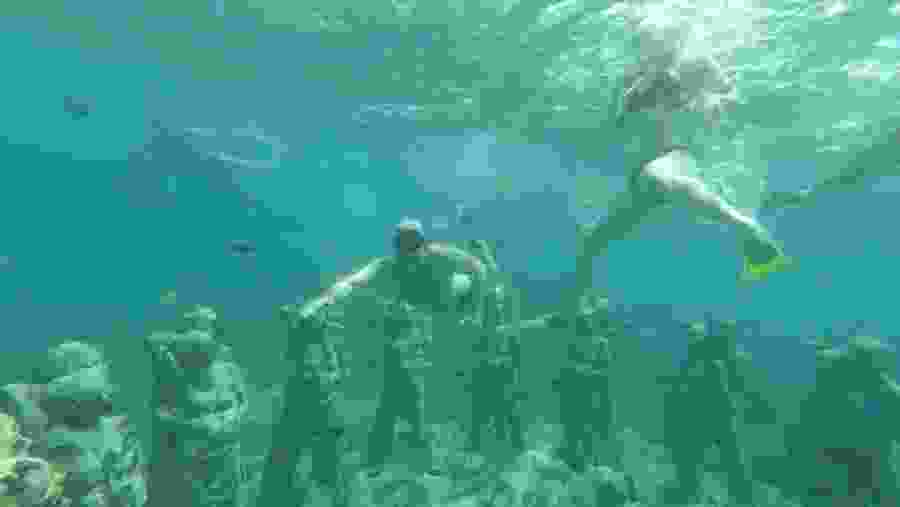 Unique Underwater Statues